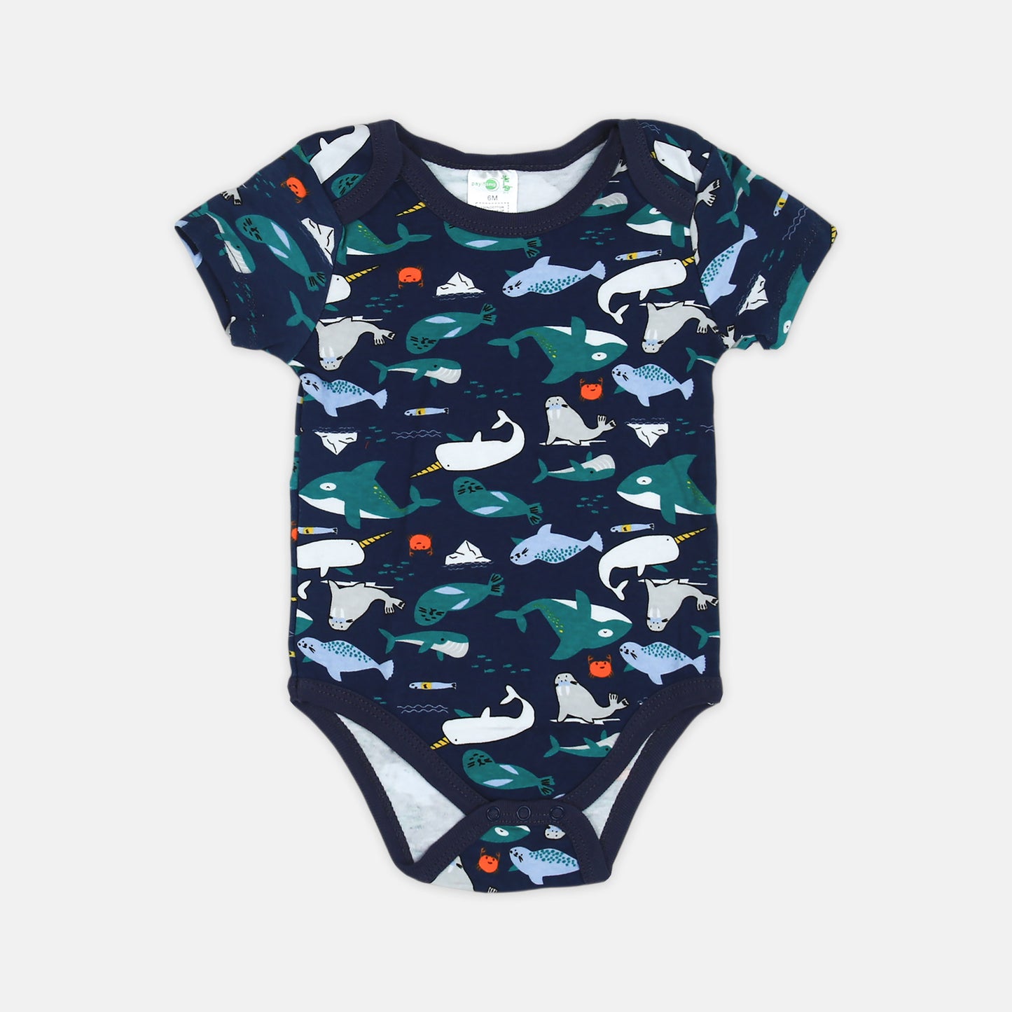 Dino "Love My Family" 5-Piece Set