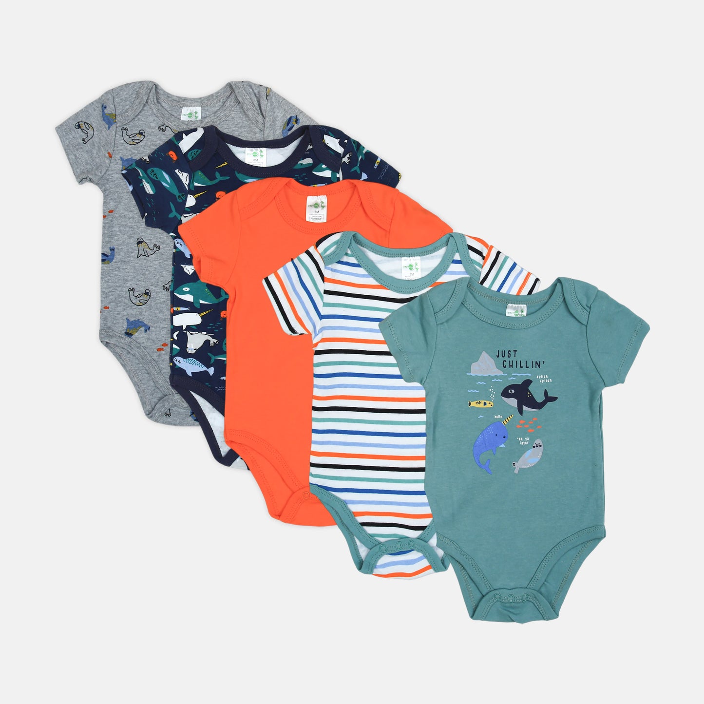 Dino "Love My Family" 5-Piece Set