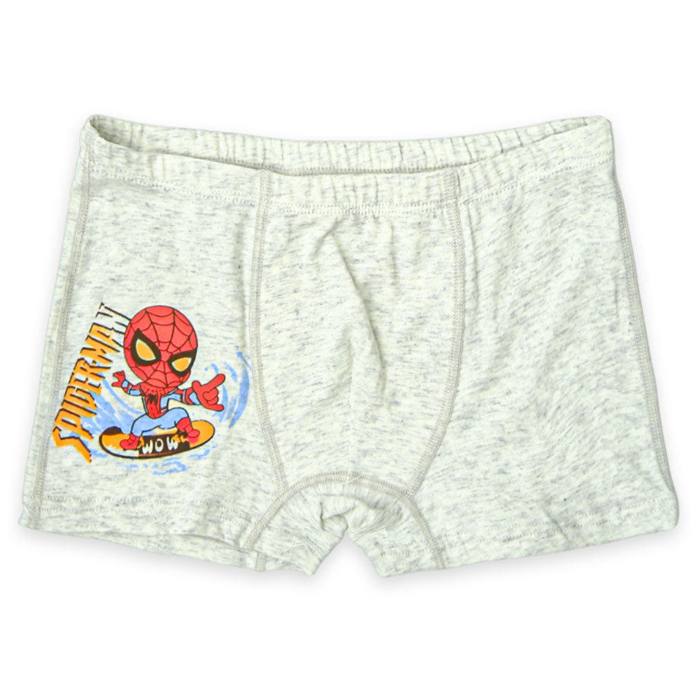 Hero Adventure Boys Boxer Set