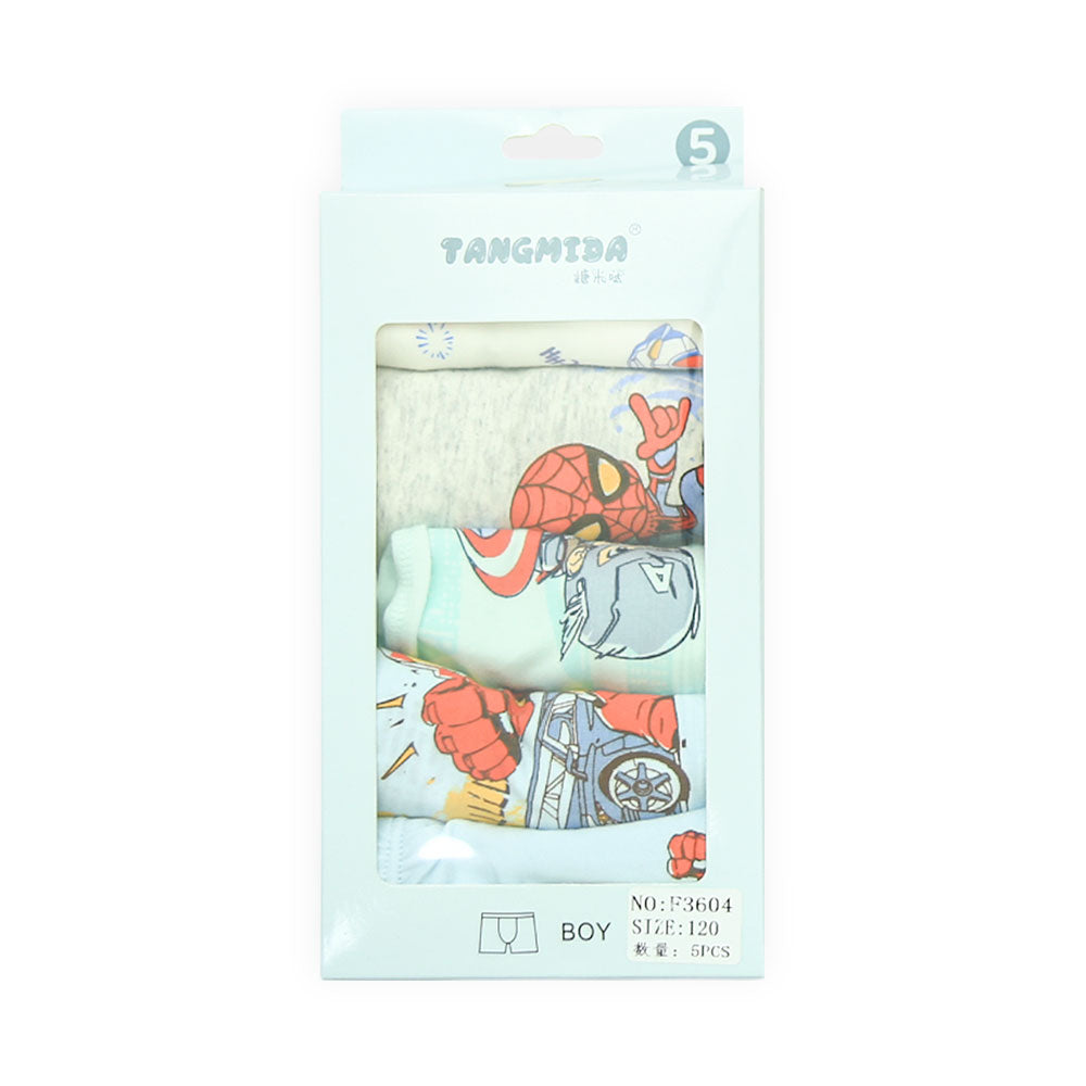 Hero Adventure Boys Boxer Set