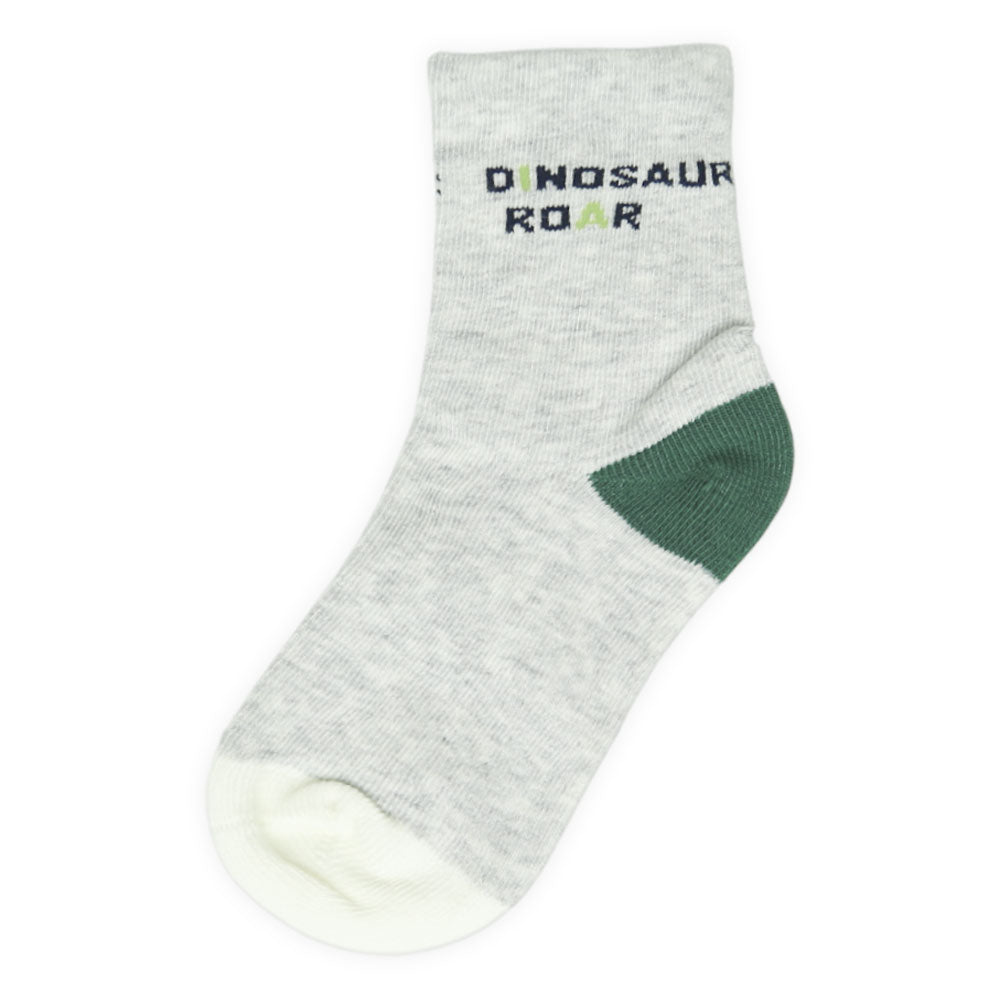 Dinosaur Roar Grey Boy Socks