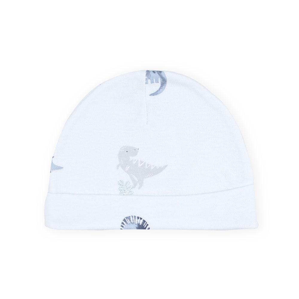 BABY CAPS PK-3 BLUE CHECKERED DINO