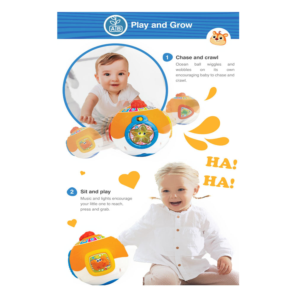 ROLL AND LEARN ACTIVITY BALL
