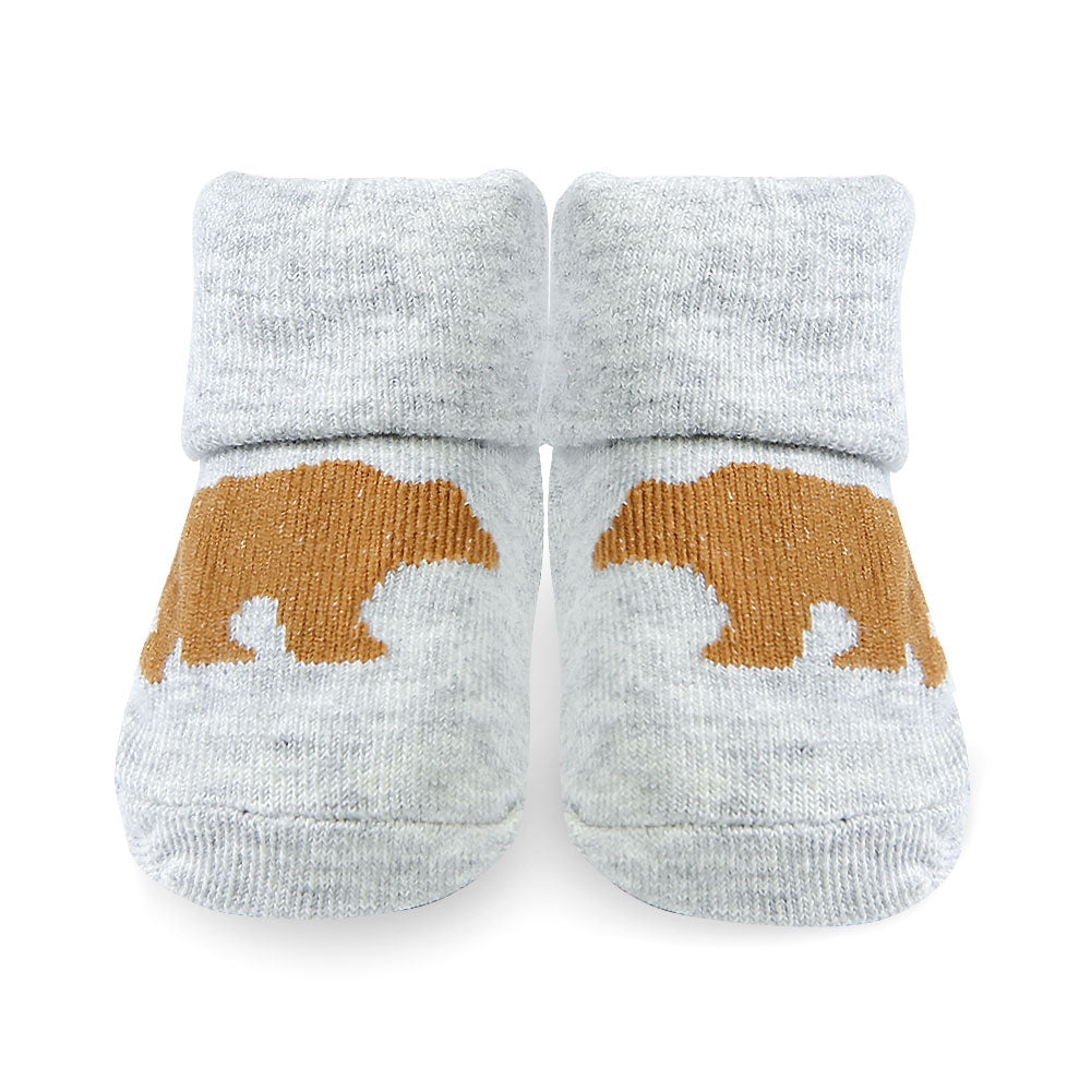BOOTIES PK-3 MULTI-COLOR BEAR
