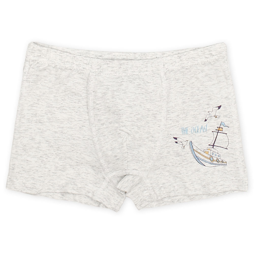 BOY BOXER PK-5 BLUE SEAGULLS
