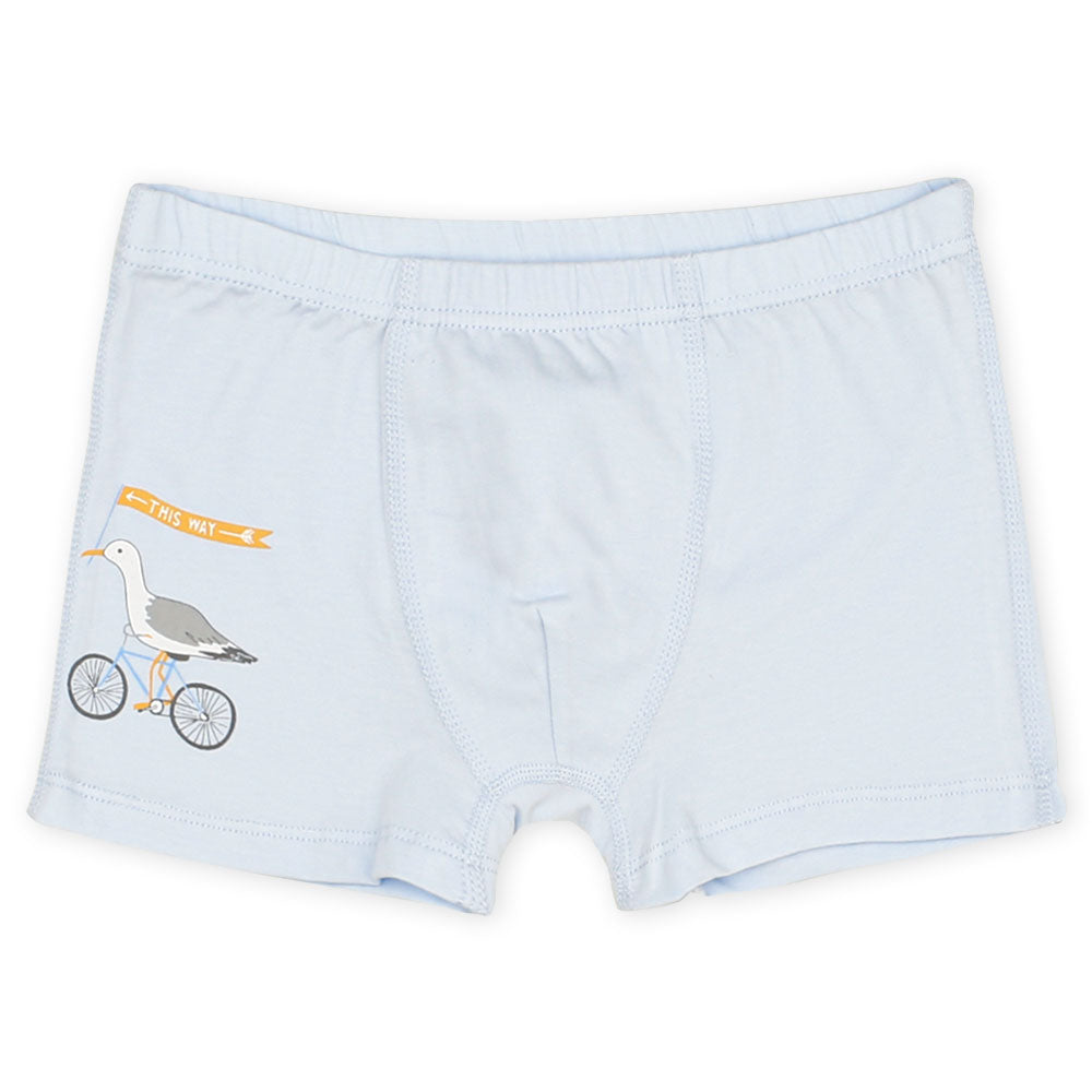 BOY BOXER PK-5 BLUE SEAGULLS