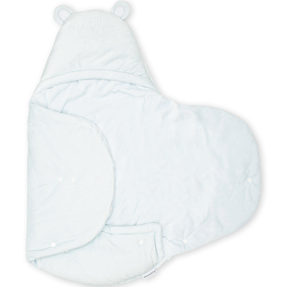 CARRY NEST BLUE PLUSH TEDDY