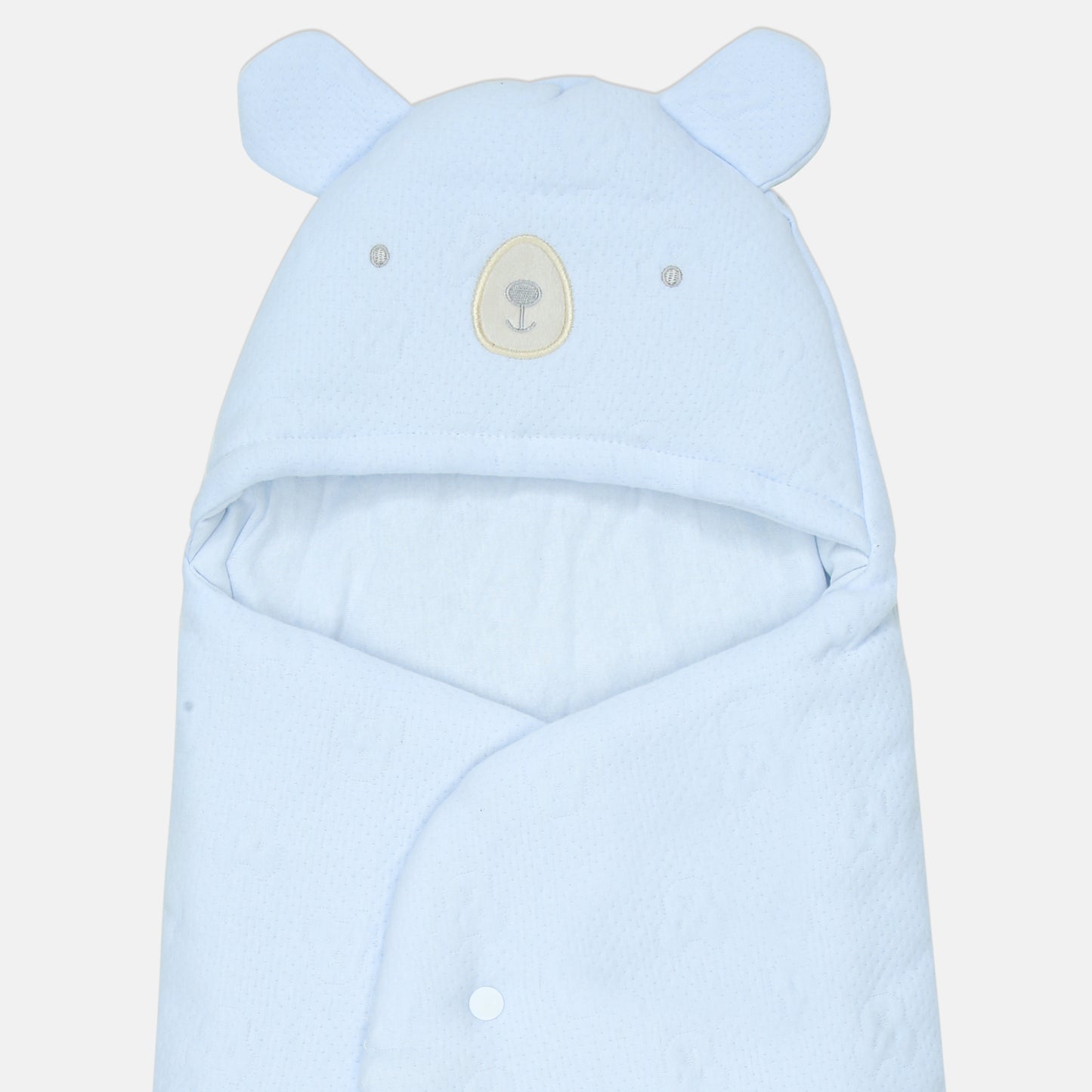 Sky Blue Hooded Carry Nest