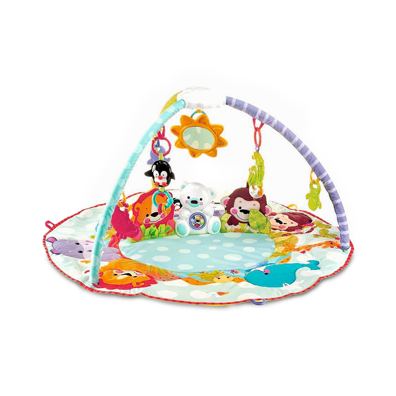 PLAY GYM