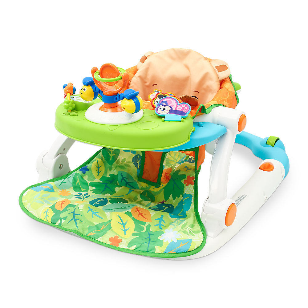 SIT-TO-WALK ACTIVITY CENTER