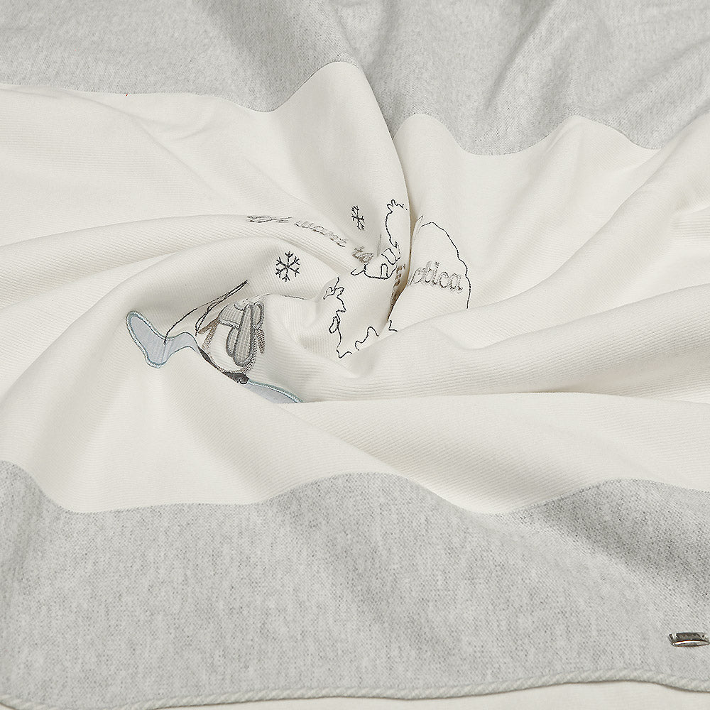 WRAPING SHEET BROWN ANTARCTICA PENGUIN COZY