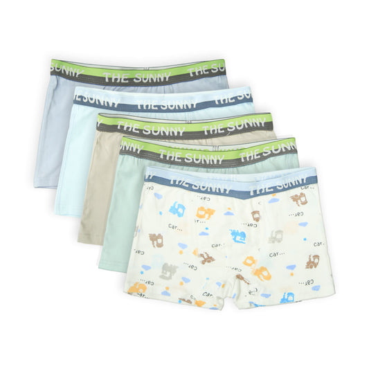Frozen Theme Pastel Boxer Set