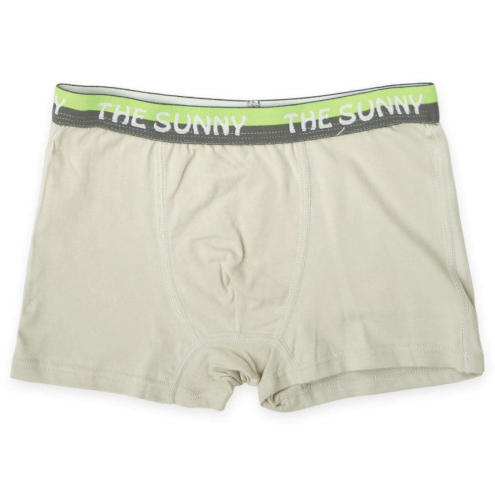 Frozen Theme Pastel Boxer Set