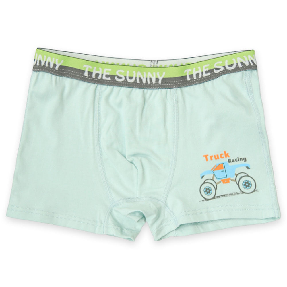 Frozen Theme Pastel Boxer Set