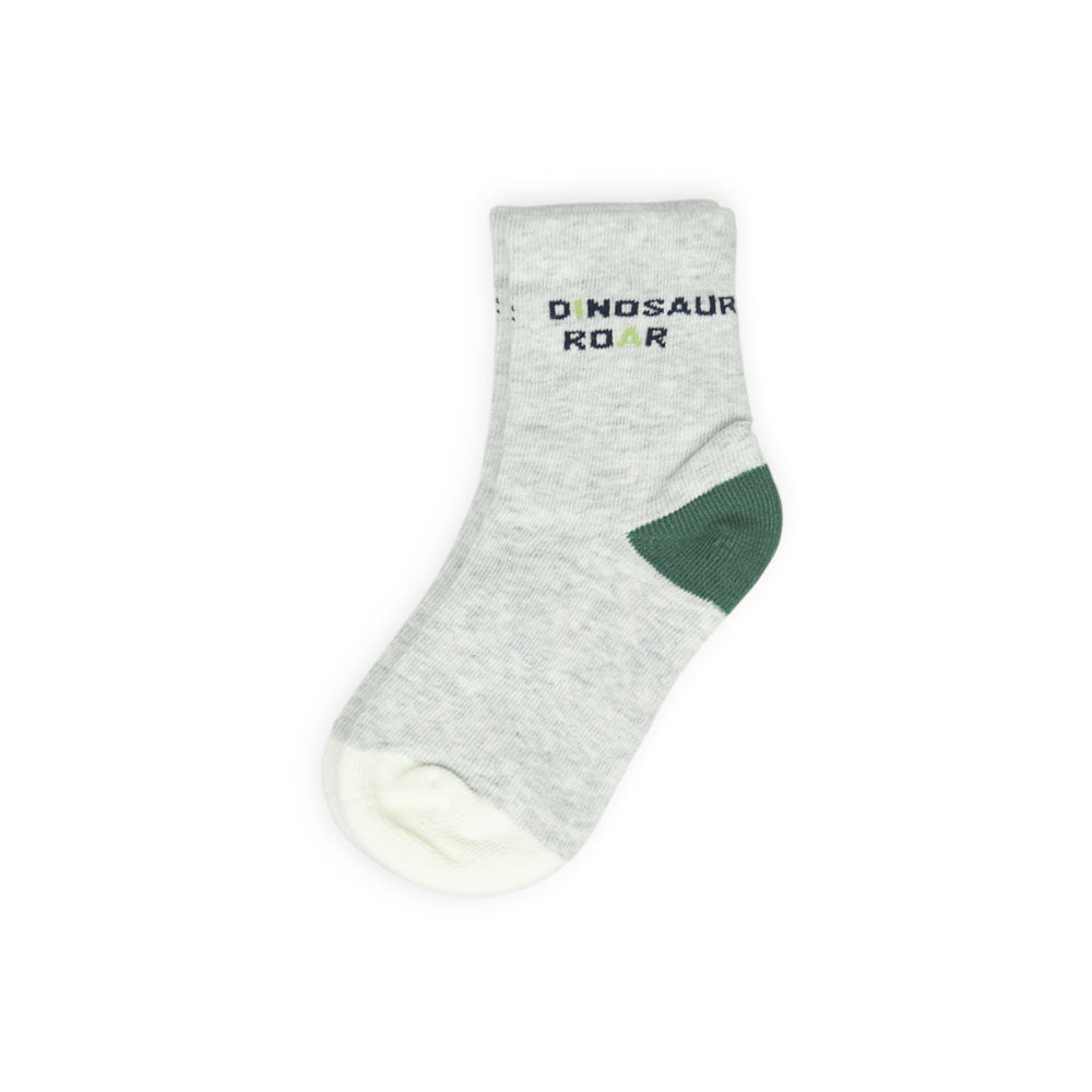 Dinosaur Roar Grey Boy Socks
