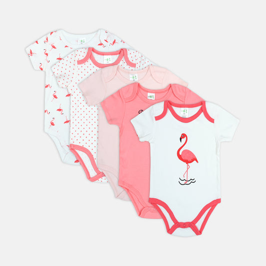 Flamingo & "Pretty In Pink" 5-Piece Set