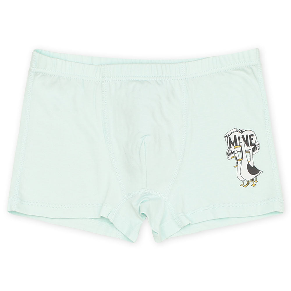 BOY BOXER PK-5 BLUE SEAGULLS
