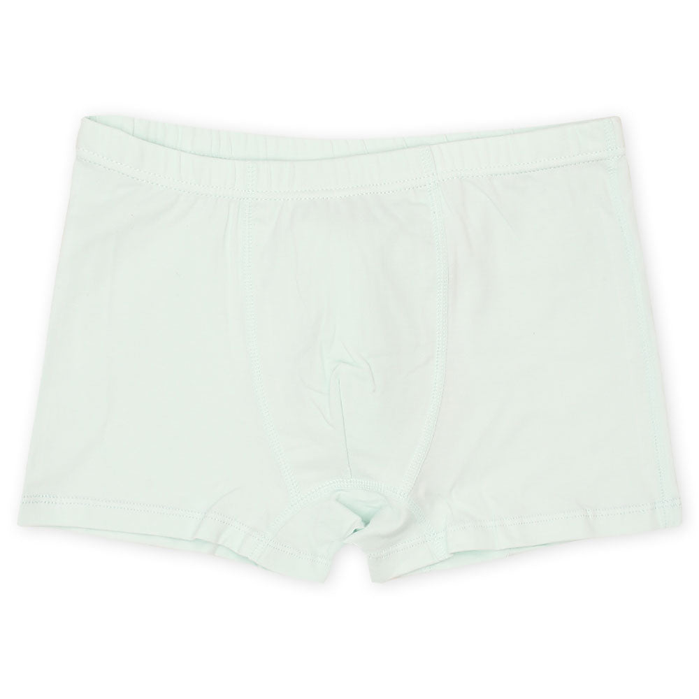 BOY BOXER PK-5 BLUE SPIDERMAN