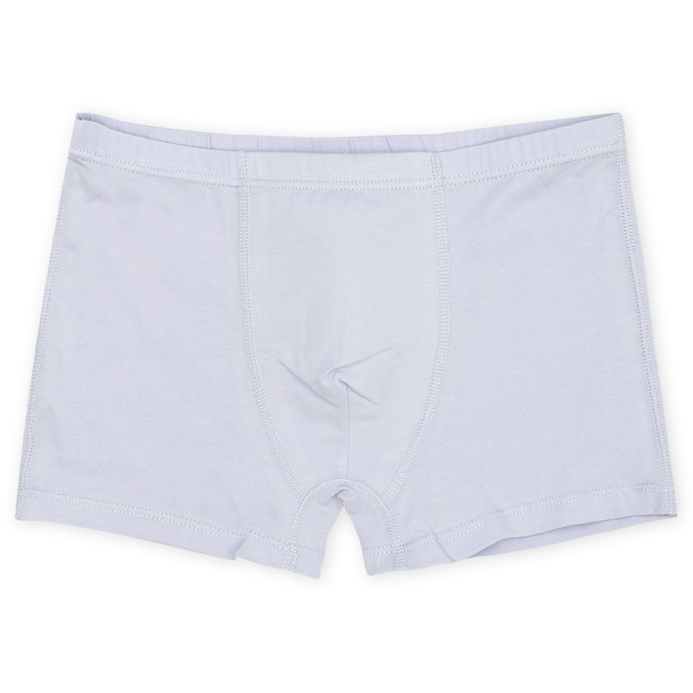 BOY BOXER PK-5 BLUE SPIDERMAN
