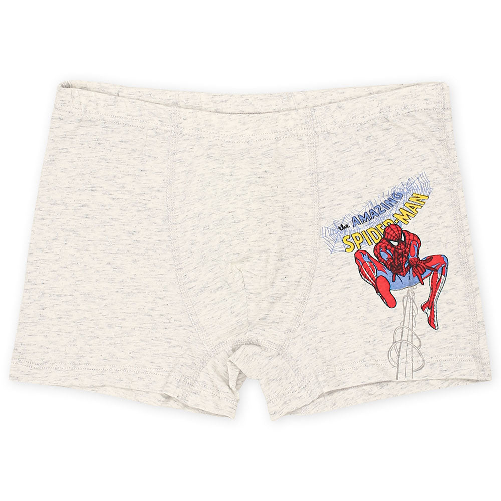 BOY BOXER PK-5 BLUE SPIDERMAN